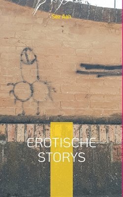 bokomslag Erotische Storys