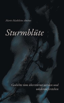 Sturmblte 1