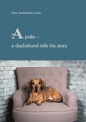 bokomslag Apollo - a dachshund tells his story