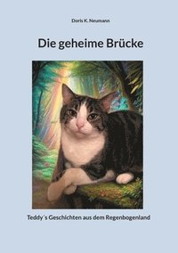 bokomslag Die geheime Brücke: Teddy¿s Geschichten aus dem Regenbogenland