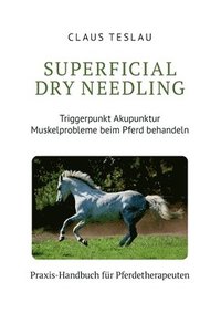 bokomslag Superficial Dry Needling