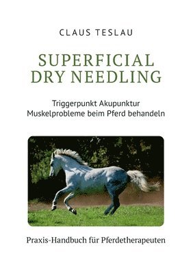 bokomslag Superficial Dry Needling