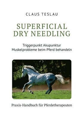 Claus Teslau - Superficial Dry Needling, Häftad