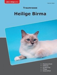 bokomslag Traumrasse Heilige Birma