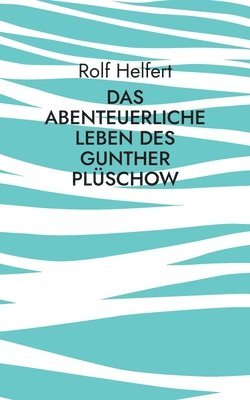 bokomslag Das abenteuerliche Leben des Gunther Plüschow