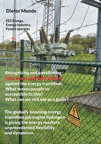 bokomslag Recognizing and questioning fake news and fake videos against the energy transition. What makes people so susceptible to this? What can we still use as a guide?