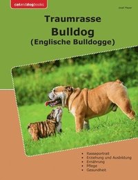 bokomslag Traumrasse Bulldog: Englische Bulldogge
