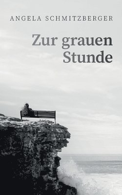 bokomslag Zur grauen Stunde