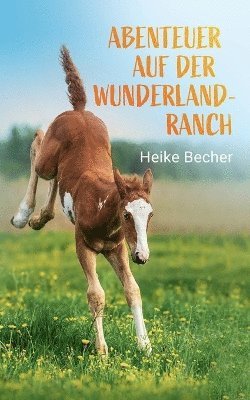 bokomslag Abenteuer auf der Wunderlandranch