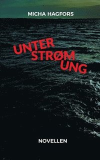 bokomslag Unterstrømung