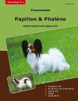 bokomslag Traumrasse Papillon & Phalène