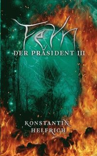 bokomslag Feyn 3