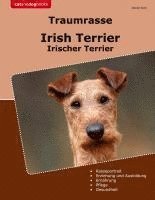 bokomslag Traumrasse Irish Terrier