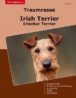 Daniel Kelly - Traumrasse Irish Terrier, Häftad