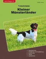 bokomslag Traumrasse Kleiner Münsterländer