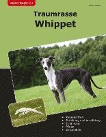 bokomslag Traumrasse Whippet