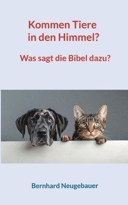 bokomslag Kommen Tiere in den Himmel?