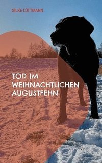 bokomslag Tod im weihnachtlichen Augustfehn