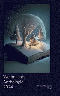 bokomslag Weihnachts-Anthologie 2024