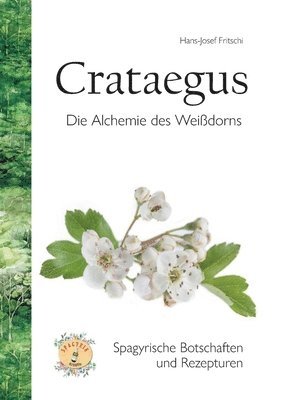 bokomslag Crataegus