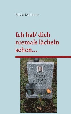 Silvia Meixner - Ich hab' dich niemals lächeln sehen..., Häftad