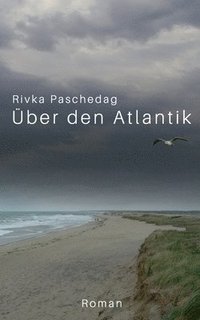 bokomslag Über den Atlantik