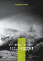 bokomslag Gehirnsturm