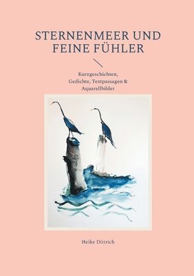 Sternenmeer und feine Fhler 1