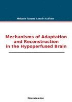 bokomslag Mechanisms of Adaptation and Reconstruction in the Hypoperfused Brain