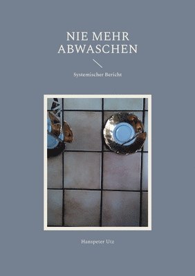 bokomslag Nie mehr abwaschen