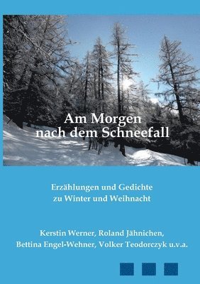 Kerstin Werner, Roland Jähnichen, Bettina Engel-Wehner - Am Morgen nach dem Schneefall, Häftad