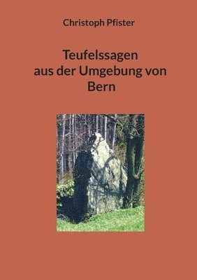 bokomslag Teufelssagen aus der Umgebung von Bern