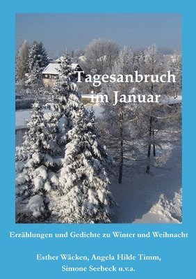 bokomslag Tagesanbruch im Januar