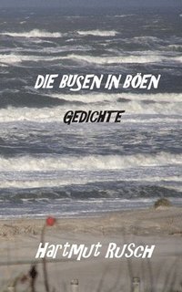 bokomslag Busen in Böen
