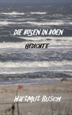 bokomslag Busen in Böen