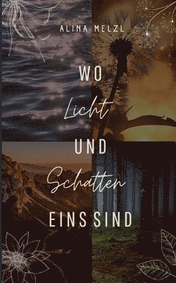 bokomslag Wo Licht und Schatten Eins sind