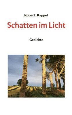 Schatten im Licht 1