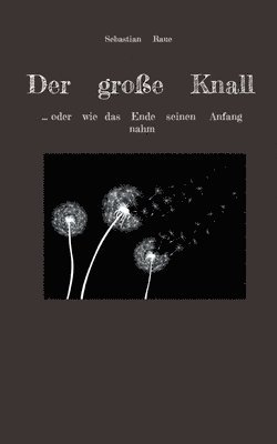 bokomslag Der groe Knall