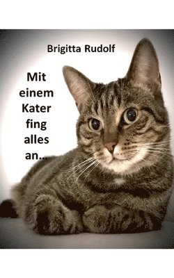 bokomslag Alles fing mit einem Kater an