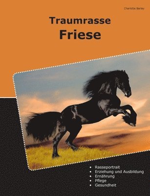 bokomslag Traumrasse Friese