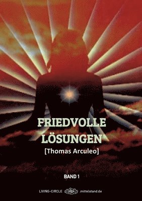 bokomslag Friedvolle Lösungen