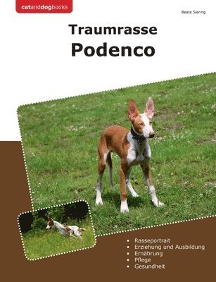 bokomslag Traumrasse Podenco