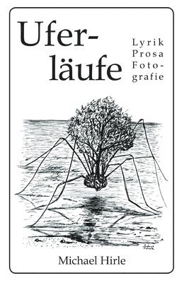 bokomslag Uferläufe