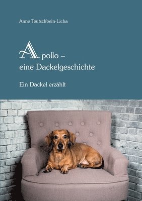 bokomslag Apollo - ein Dackel erzhlt