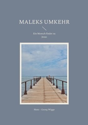 bokomslag Maleks Umkehr