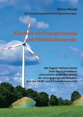 Dieter Mende - Klartext zur Energiewende und Mobilitätswende, Häftad