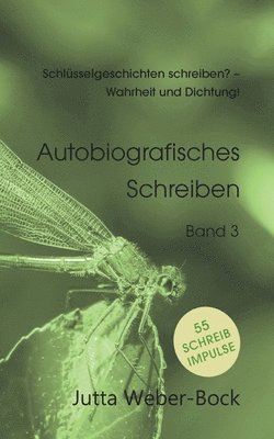 Jutta Weber-Bock - Schlüsselgeschichten schreiben? - Wahrheit und Dichtung!, Häftad