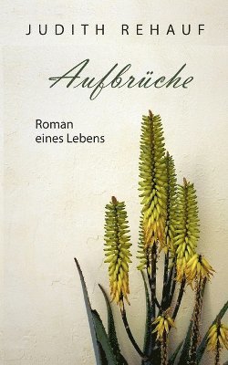 bokomslag Aufbrche