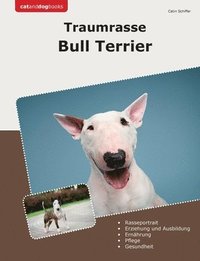 bokomslag Traumrasse Bull Terrier