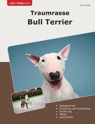 Traumrasse Bull Terrier 1